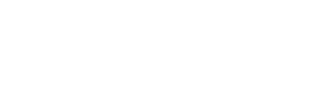 Brazda Logo